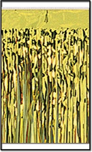 [55860-GD] 3m x 38cm Metallic Fringe Drape - Gold