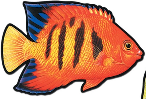 [55929] 40cm Coral Reef Fish Cutouts