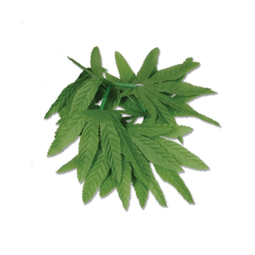 [57410] 25cm Tropical Fern Leaf Wristlet/Anklet