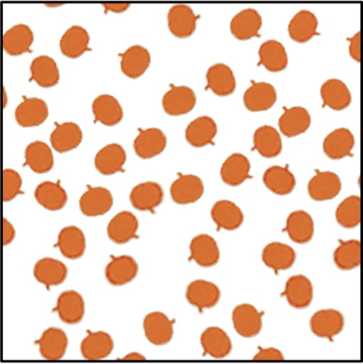 [00630] 28g Fanci-Fetti Pumpkins - Orange