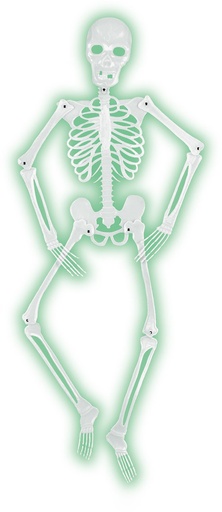 [00705] 1.5m Mr Bones-A-Glo Skeleton - White