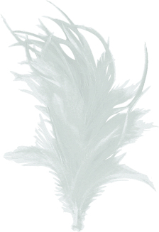 [BF358-W] Feather with Clip - White