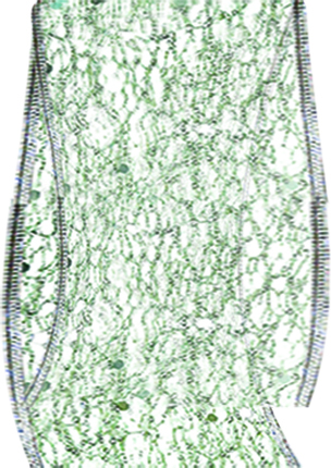 [DH047] Spider Web Net, 9.1m