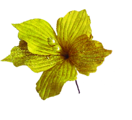 [EY035-GD] Artificial Flower, 18cm