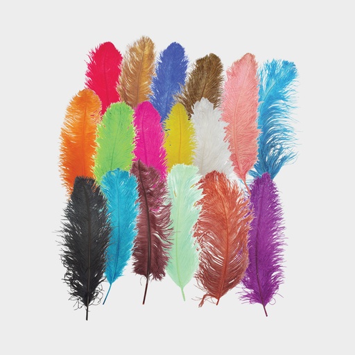 [ZZ006-G] 60cm Ostrich Feather - Green