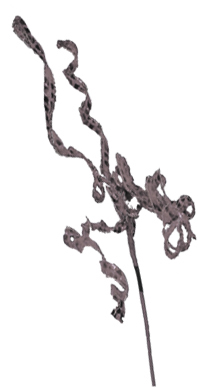 [GN2524V-GD] 58cm Metallic Curly Pick - Gold