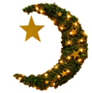 [RM151] 60cm Hanging Illuminated Crescent