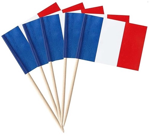 [FD09274] France Flag Picks