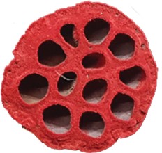 [GL001LV-15-R] Lotus Pod with Stem, 9cm