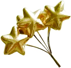 Star Pick