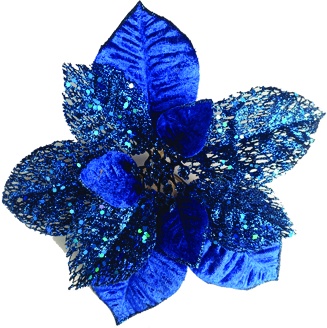 Poinsettia